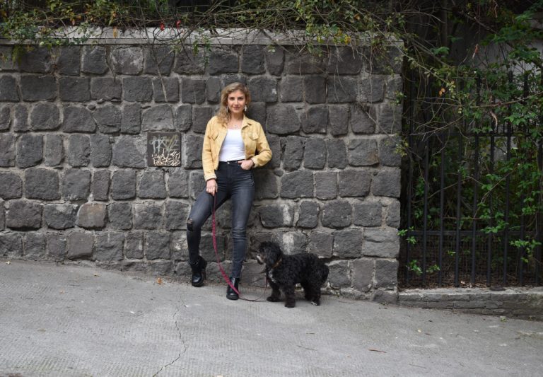 Lee más sobre el artículo Neque adipiscing an cursus