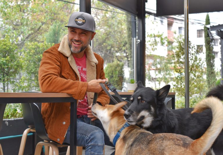 Lee más sobre el artículo Vestibulum sapin prin quam